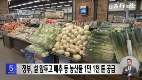 정부, 설 앞두고 배추 등 농산물 1만 1천 톤 공급