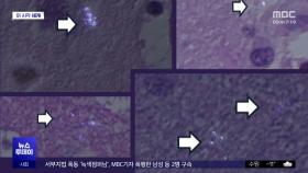 [이 시각 세계] 