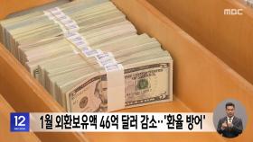 1월 외환보유액 46억 달러 감소‥'환율 방어'