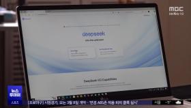 정부, 딥시크 접속 차단‥민간도 '금지령' 확산