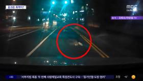 [와글와글] 새벽 도로 한가운데 웅크리고 있던 취객