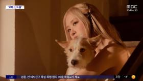 [문화연예 플러스] 블랙핑크 로제, 1월 걸그룹 개인 브랜드 1위