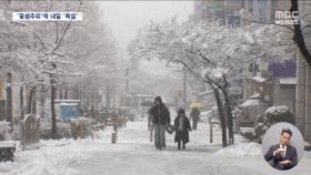 '봄 시샘 추위'에 폭설까지‥밤부터 전국 요란한 눈·비