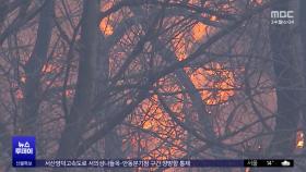 울산 능선 진화에 집중‥일출 직후 헬기 재투입