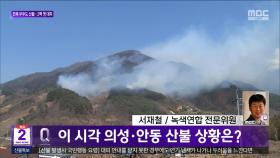전문가가 직접 가본 산불 현장은?