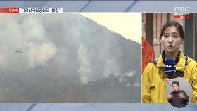 지리산 확산 저지‥하동 주불 잡기 총력전