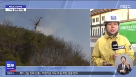 '경북 산불' 주불 진화‥발생 149시간 만