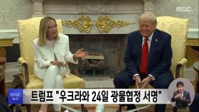 트럼프 