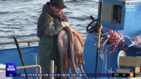동해안 최북단 어장 첫 조업‥