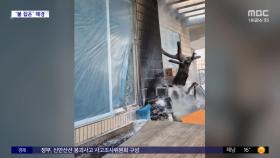 [와글와글] 