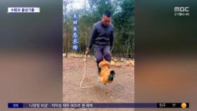 [와글와글] '호흡 척척' 닭과 함께 줄넘기