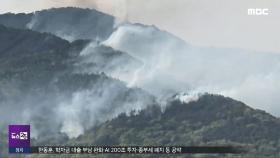 대구 함지산 산불 재발화‥야간 진화 계속