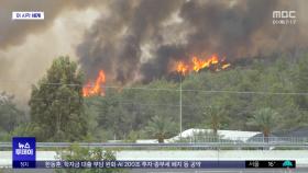 [이 시각 세계] 이스라엘 예루살렘 인근 대형 산불