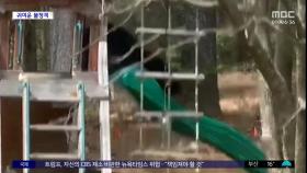 [와글와글] 가정집 마당서 미끄럼틀 타는 곰