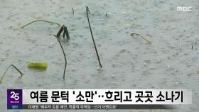여름 문턱 '소만'‥흐리고 곳곳 소나기