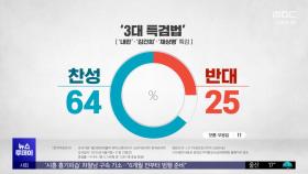 3대 특검 찬성 64%‥