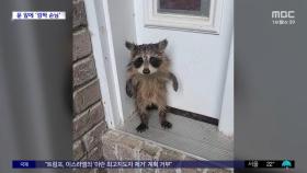 [와글와글] 
