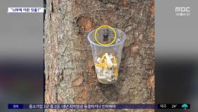 [와글와글] 남한산성 나무에 재떨이 설치 '갑론을박'