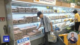 '금란·금배추' 막아라‥물가 안정 총력