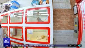 [이 시각 세계] EU 반려동물 '펫숍 판매금지' 추진