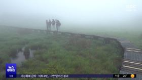'희귀 식물 한 눈에'‥인제 대암산 '용늪' 개방