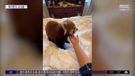 [와글와글] 