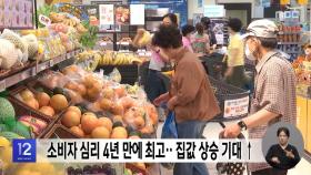소비자 심리 4년 만에 최고‥집값 상승 기대↑