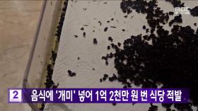 음식에 '개미' 넣어 1억 2천만 원 번 식당 적발