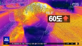 35도 폭염에 이마 위는 '60도'‥