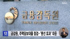 금감원, 주택담보대출 점검‥'풍선 효과' 대응