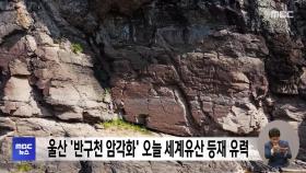 울산 '반구천 암각화' 오늘 세계유산 등재 유력