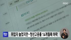 취업자 늘었지만‥청년고용률 14개월째 하락