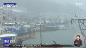 시간당 최대 50mm 예보‥이 시각 대전 갑천