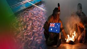 호주 원주민, 양식장으로 식량 문제 해결
