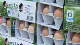 오늘부터 수입 달걀 무관세…대형마트 