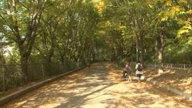 인천시, 올해 도시 숲 10만 5천㎡ 조성…미세먼지 줄인다