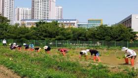 경기도, 도민텃밭 농작물 먹거리 취약계층 무상 제공