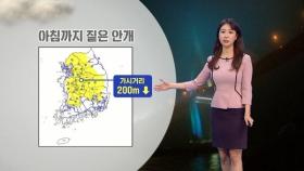 출근길 내륙 짙은 안개, 가시거리 200m 미만