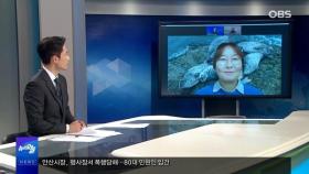 [OBS 인섬 뉴스] 백령도 소식-'새들의 천국' 반가운 겨울철새들