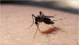말라리아 환자가 늘어난다…기후재난 영향