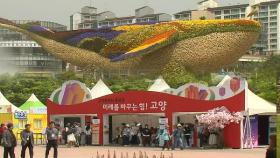 고양국제꽃박람회 개막…17일간 꽃의 향연