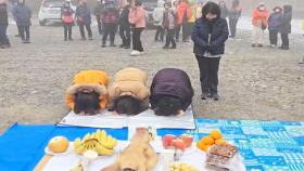 [OBS 인섬 뉴스] 산신령에 한 해를 부탁하는 시산제
