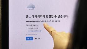 딥시크 국내 신규 서비스 잠정 중단…