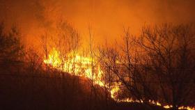 울산 산불, 강풍에 속수무책…주민 5천여 명 대피령