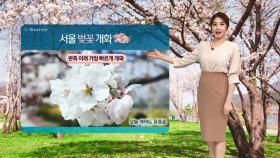 [날씨] 관측 이래 가장 이른 '서울 벚꽃'…주말 아침 쌀쌀