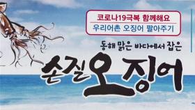 '힘든 지역민 돕자' 오징어 2만 마리, 30분 만에 완판