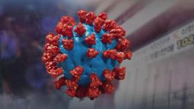 '이태원발 바이러스' 신천지와 달랐다…미국·유럽 유행한 'C형'