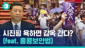 [비디오머그] 홍콩 시민들이 다시 거리로 나온 이유…'홍콩 국가보안법'이 도대체 뭔데?