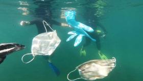 해파리처럼 '둥둥'…해양 오염 주범 된 일회용 마스크