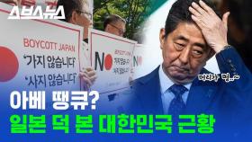 [스브스뉴스] 일본 수출규제에도 끄덕 없었던 갓한민국 (feat. 탄소섬유)